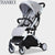 TIANRUI stroller can be folded stroller easy to carry for sitting and lying, free shipping to Russia